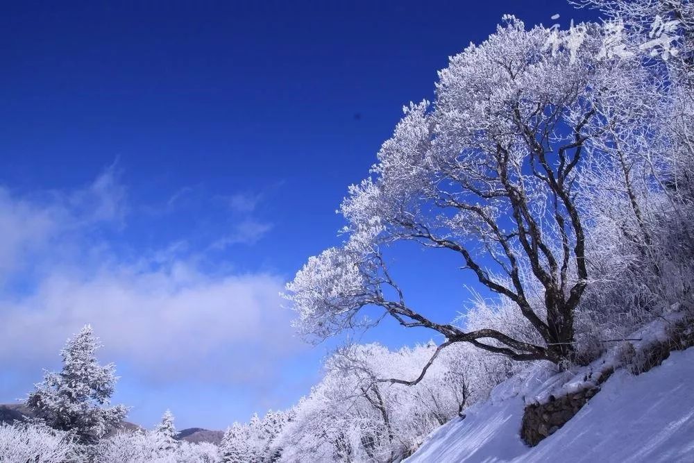 神农架国际滑雪场今日雪况,神农架滑雪场周末攻略