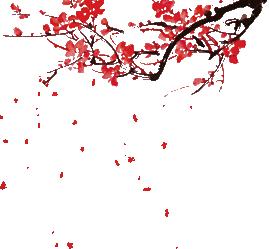 赞！这家电商彰显“铜陵制造”魅力！