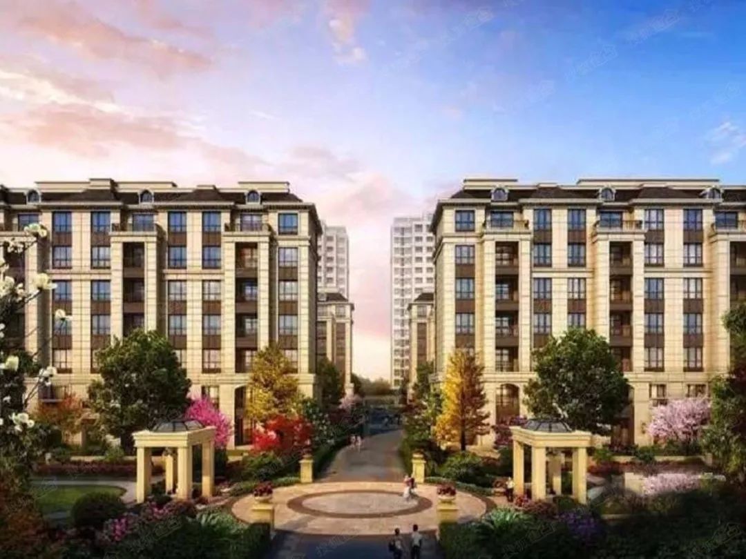 奉贤南桥最具价值的房子,奉贤黑马