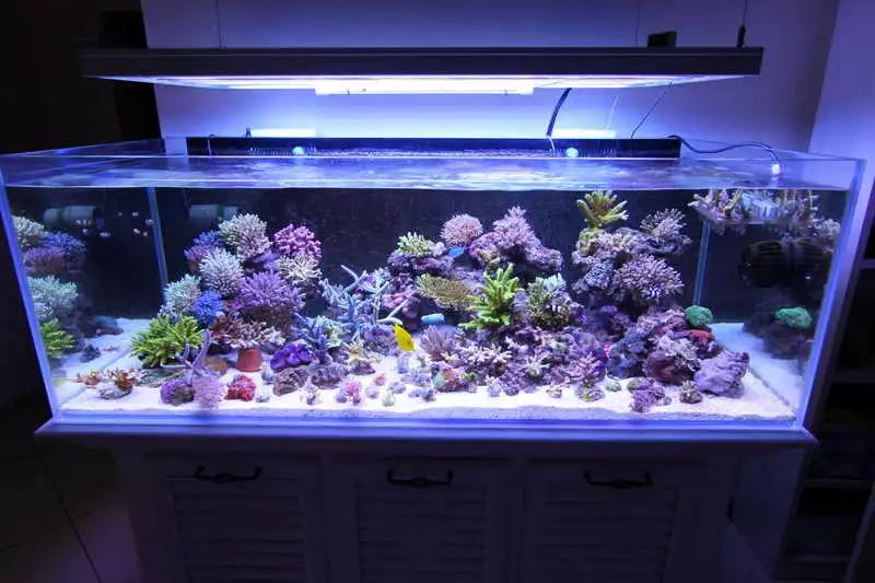 60海缸开缸全记录,1.2米的海缸开缸需要多少费用