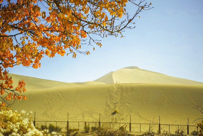 嘿！让我来说说我的旅途