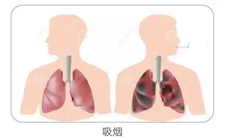 情人节送女友礼物,情人节送一个最好的礼物