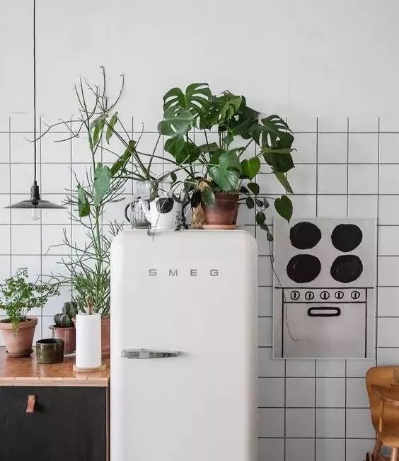 电吹风吹后背治发烧,吹风机吹身体舒服