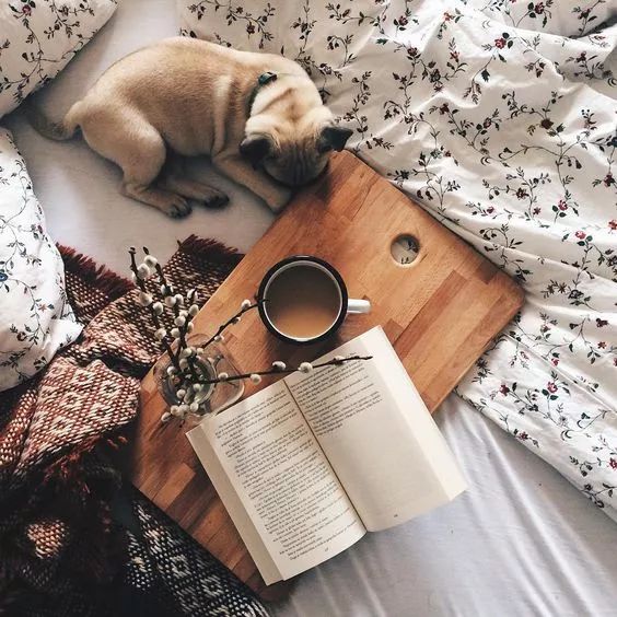 电吹风吹后背治发烧,吹风机吹身体舒服