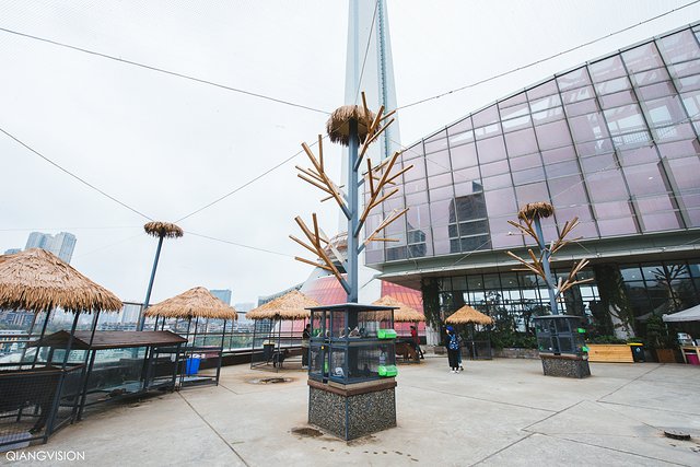 成都怎么玩一天一夜,如何在成都耍一天