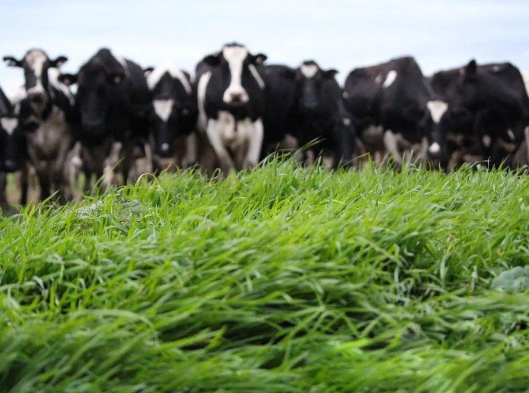 一条生活馆产品,一条生活馆成都店