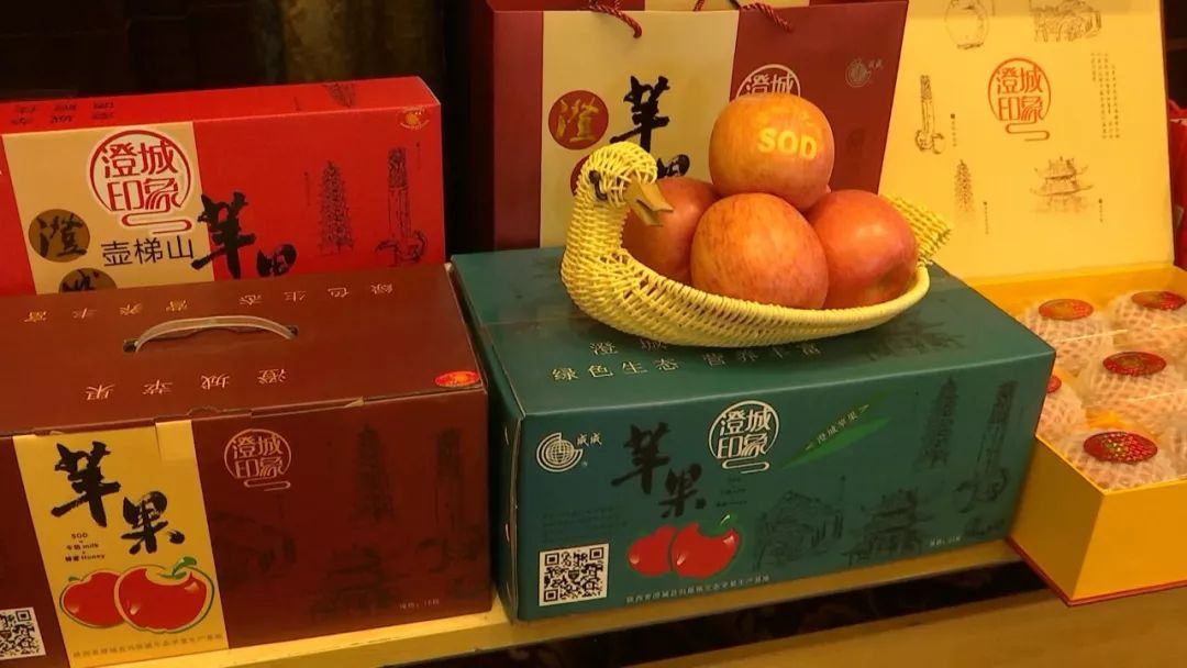 澄城县第三届樱桃文化艺术节,澄城县苹果