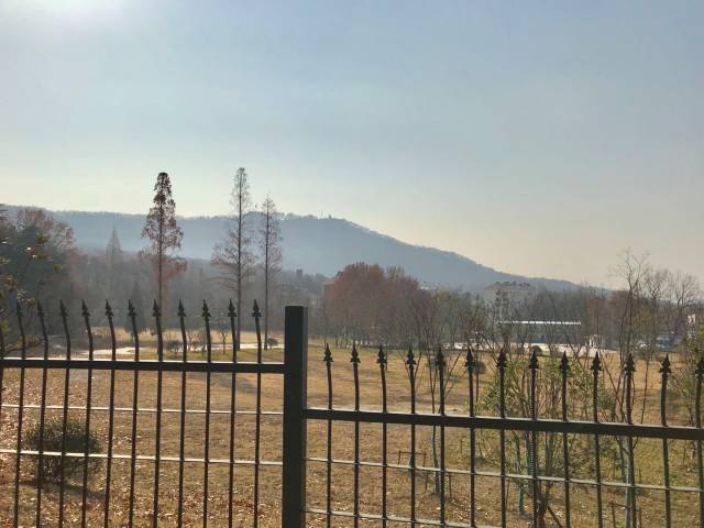 蒋王庙几号出口到皮研所,南京皮研所蒋王庙好还是鼓楼好