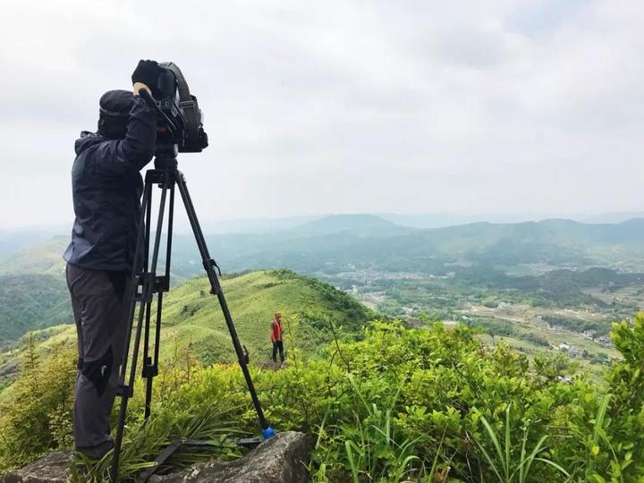 浙江苍南小镇在哪里,苍南旅游小镇亮相