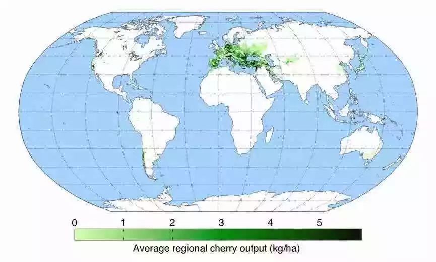 赣州车厘子最新官方消息,赣州产车厘子