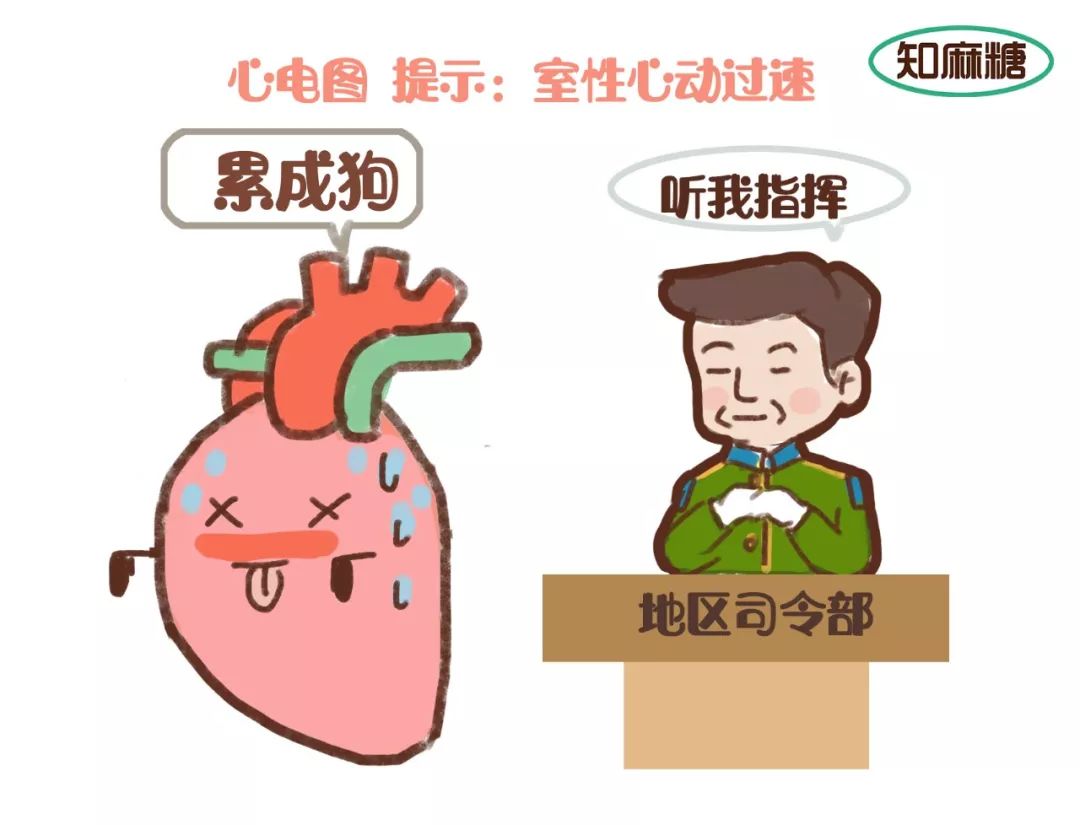 糟了是心动的感觉免费观看,糟了是心动的感觉原版