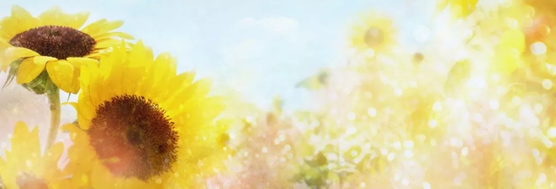 青年支教老师视频,支教老师千字长文