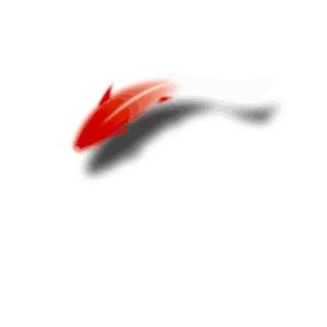 胎儿早孕期超声筛查有必要吗,怀孕前孕检必须做的检查