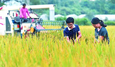 河北市级农业龙头企业条件,石家庄市龙头企业申报
