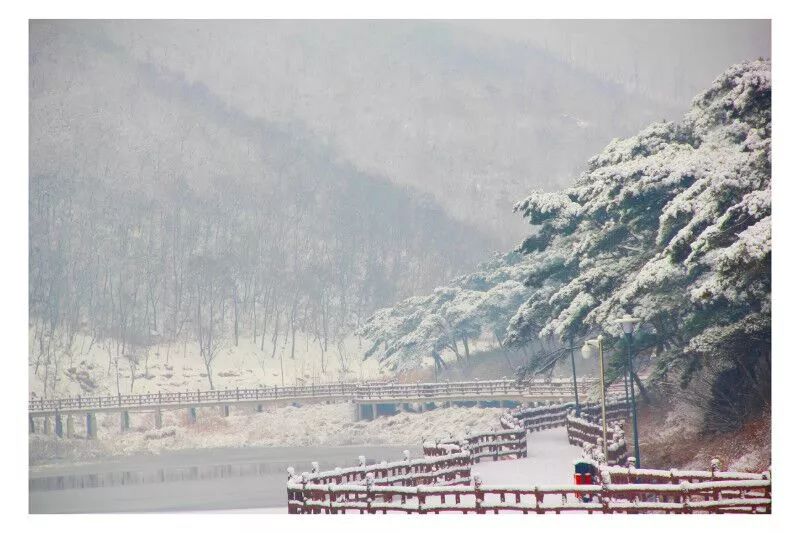 泰山温泉城团购价格,团购活动惊爆价