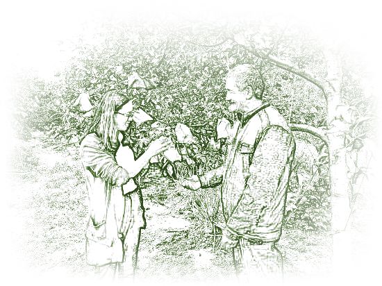 美文欣赏,美文欣赏作者作品