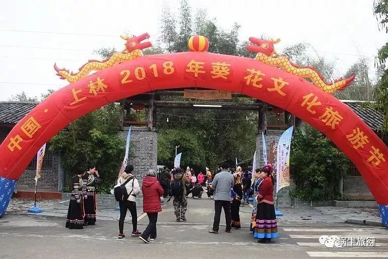 上林葵花节景点,广西上林葵花文化旅游节