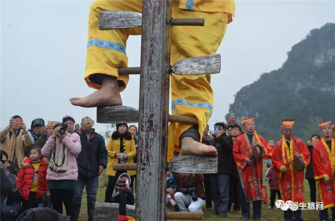上林葵花节景点,广西上林葵花文化旅游节