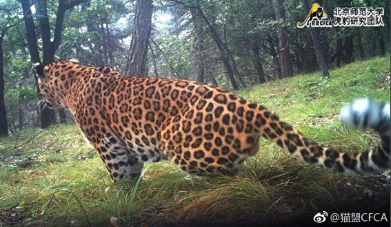 他做了15年自然测量员，只为得到更好的荒野