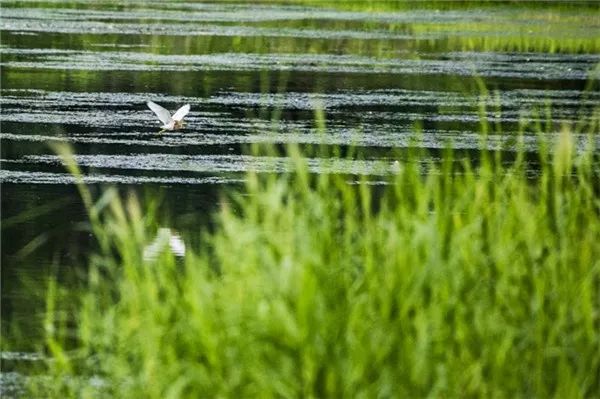 孩子眼中的最漂亮妈妈,儿童眼中的妈妈是最漂亮的