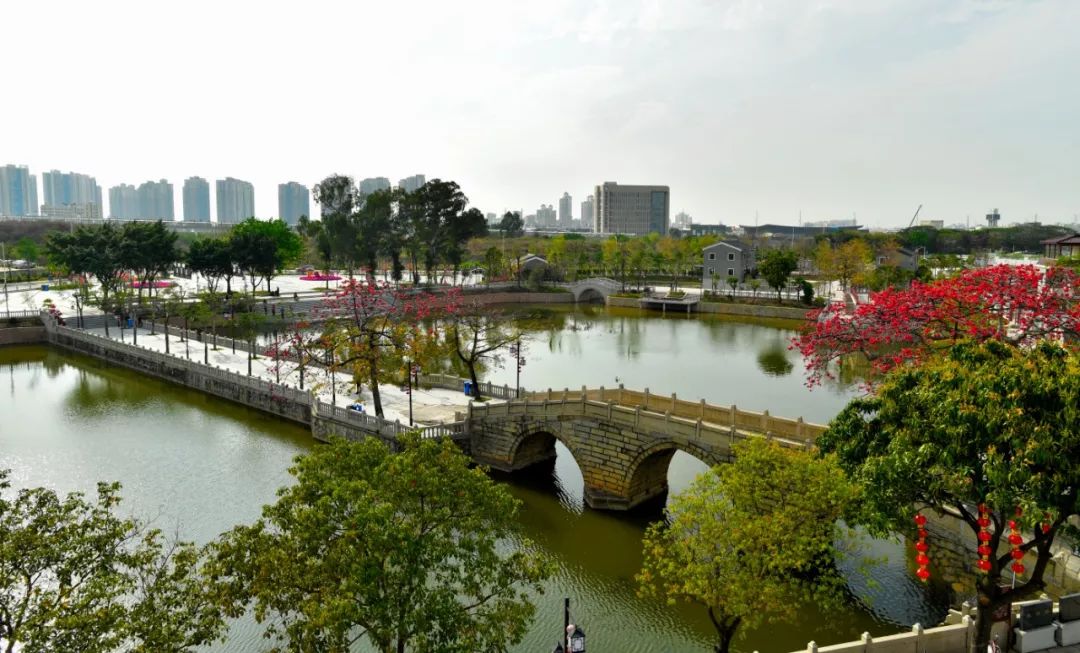 这里是新桥小学,这里是新桥