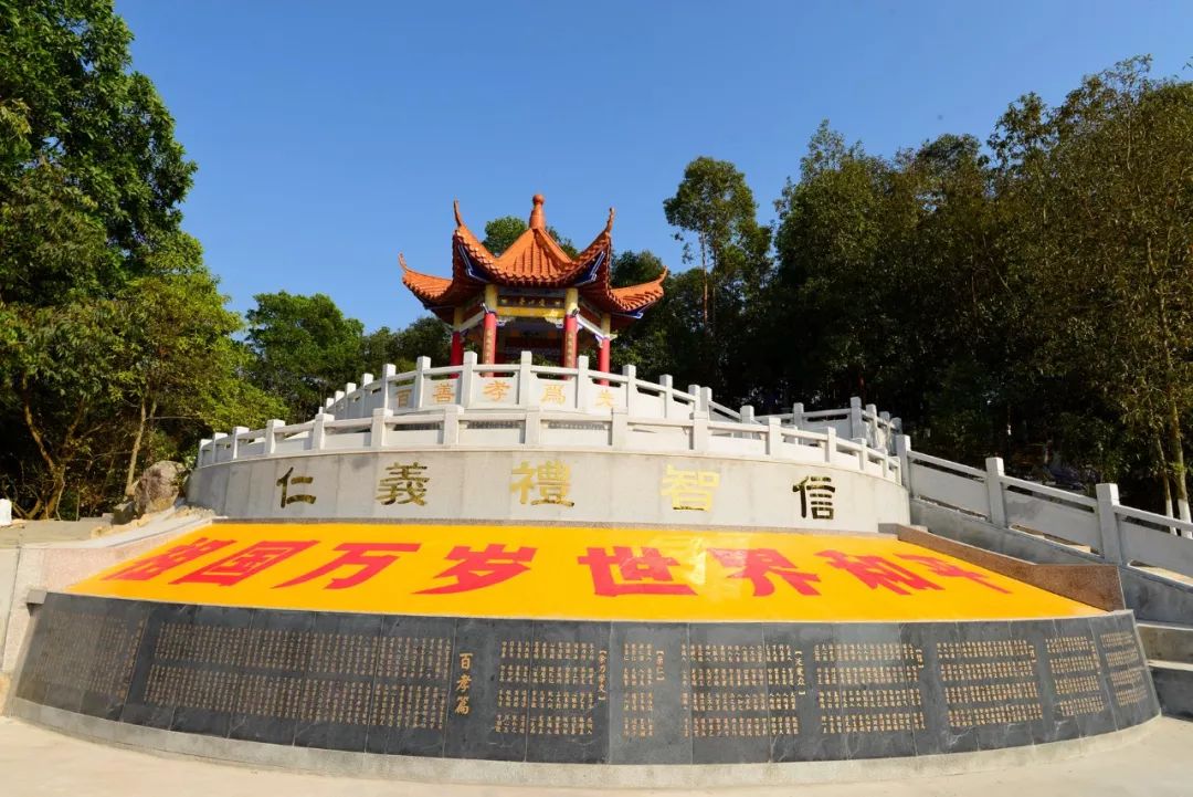 这里是新桥小学,这里是新桥