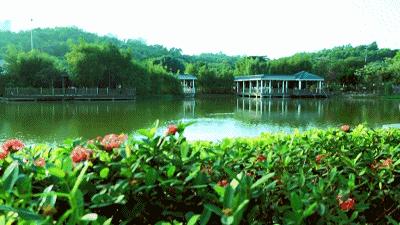 这里是新桥小学,这里是新桥