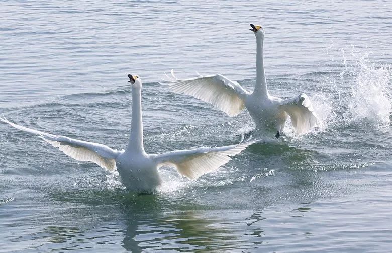 最具幸福感的县级市中唯一一座上榜的北方小城，光是海鲜就能吃到你激灵！