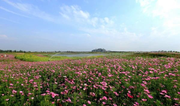 湖北稳增长133项措施,荆州洪湖2019年上半年gdp