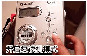 如今上网越来越无聊，因为我们都变成了可悲的「复读机」