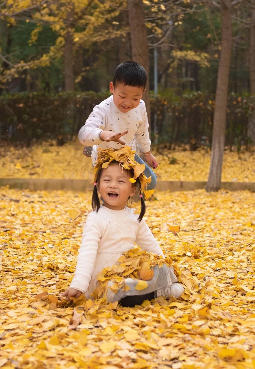 “妈，我在华师看了一场金黄色的雪！”