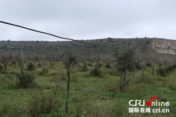 2019年因极端气候引发的损失,2018年以来极端天气灾害事件分析
