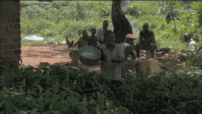 夏天消灭蚊子用蚊香还是杀虫剂,蚊香液消灭蚊子全过程