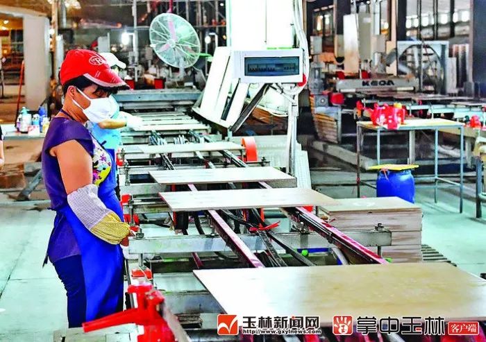 你真的了解博白吗?来了解一下!