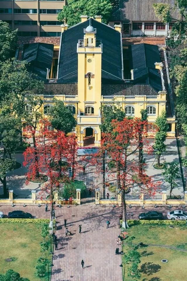 什么是广州市区,什么是桃子女孩