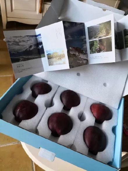 这种黑苹果68元一个，种植效益怎么样？