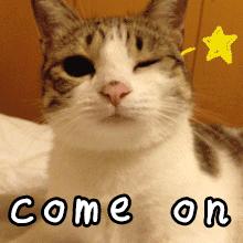 店庆半价优惠政策,店庆优惠方案