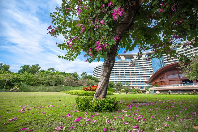 三亚旅游攻略自由行亲子游10日,超实用的4天3晚三亚逛吃攻略