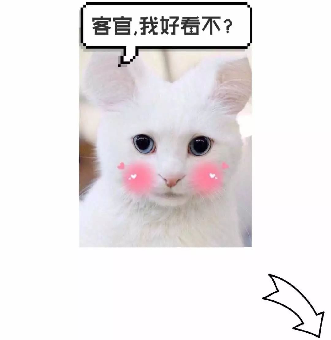 潍坊宏伟学校规划图,潍坊高新区新建学校在哪