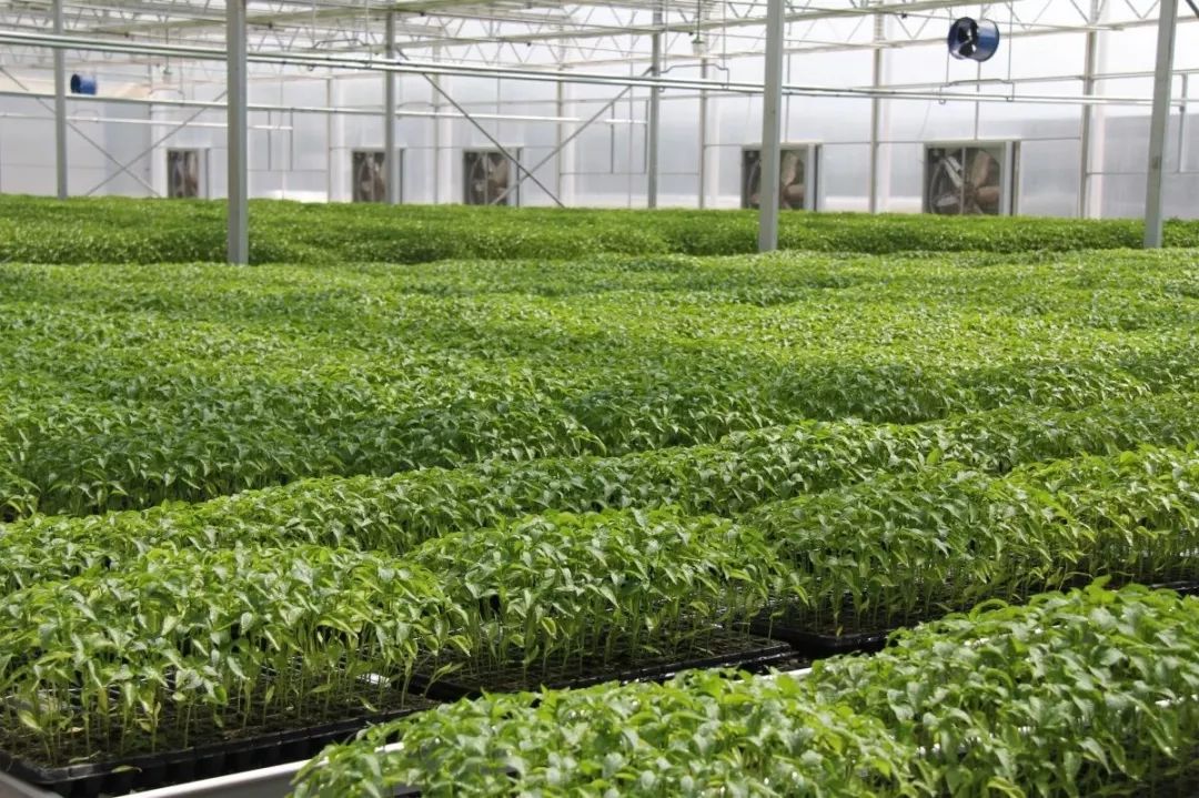 马鞍山当涂为什么富裕,马鞍山为什么越来越好