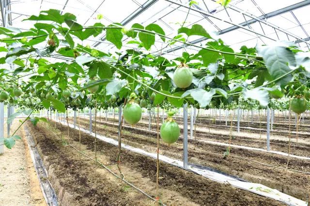 黔东南州5a级景区是哪个,黔东南州凯里碧波花诗园旅游景区