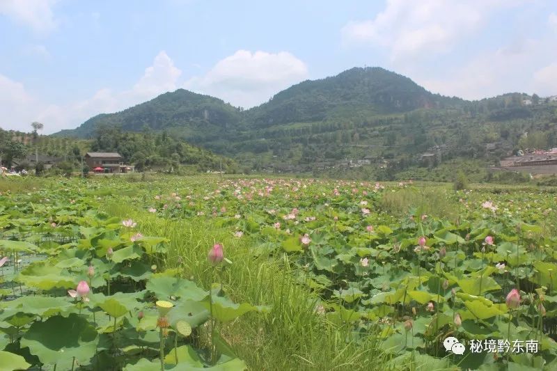 黔东南州5a级景区是哪个,黔东南州凯里碧波花诗园旅游景区