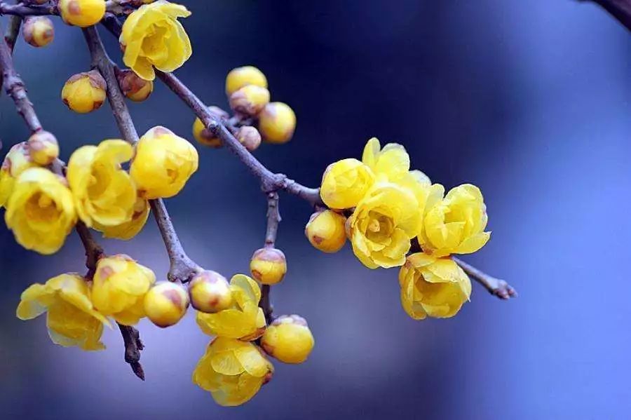 小众宝藏旅行地江浙沪冬天,冬日有阳光心情会很好