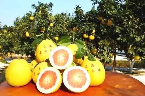 小众宝藏旅行地江浙沪冬天,冬日有阳光心情会很好