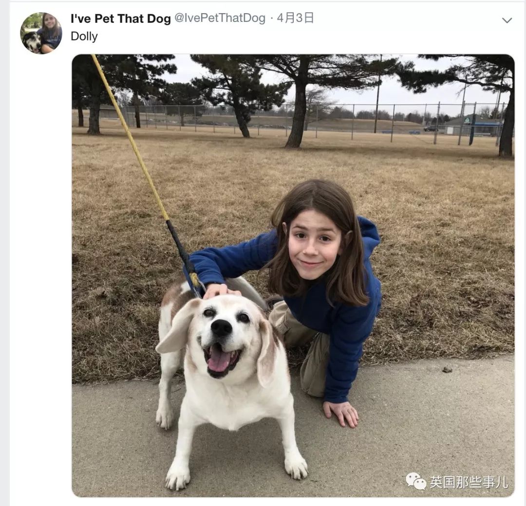 10岁男孩完成所有的男孩的梦想,10岁男孩梦想