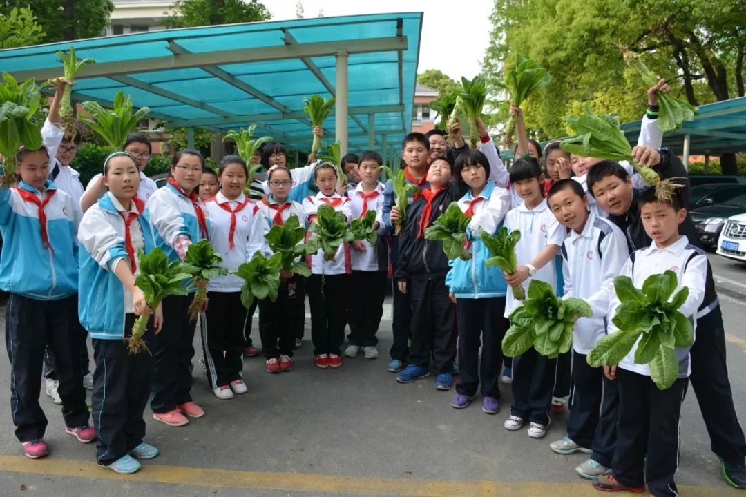 宝山强校工程效果,公办强校工程