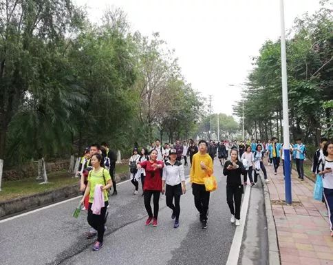 高明网红森林公园,佛山森林公园高明