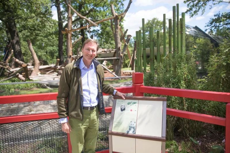 老外多爱猫咪,老外多爱中国