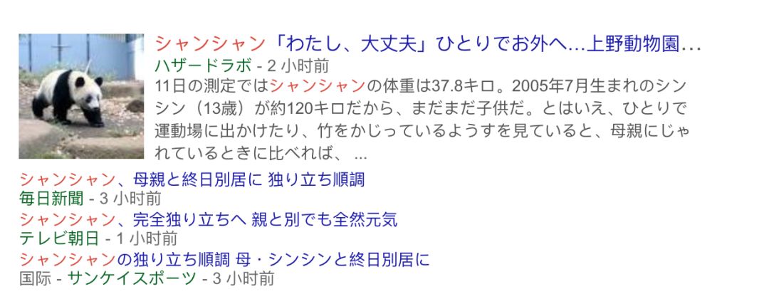 老外多爱猫咪,老外多爱中国