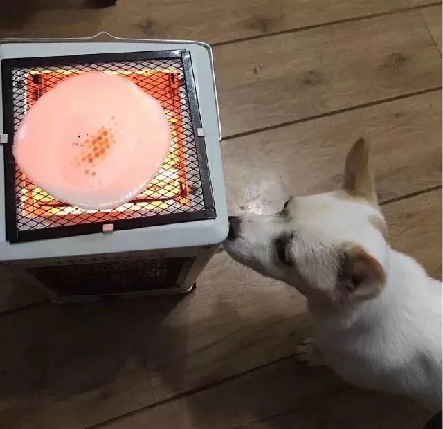 广东下雪之旅,广东下雪是什么体验